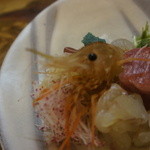 津軽割烹未来 - 牡丹海老はまだ死んでいませんでした。