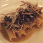 アルベルゴ・バンブー - 「リガトーニ　足柄牛のラグー」（⑧）：艶やかな香り！澄んだコクと旨みに嗚咽が思わずこぼれ出て♪