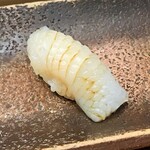 すし匠 - アオリイカ