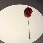 プレゼンテ スギ - 