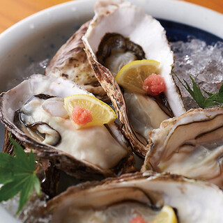 【旬の逸品】クリーミーかつ肉厚ぷりっぷりの牡蠣をどうぞ！
