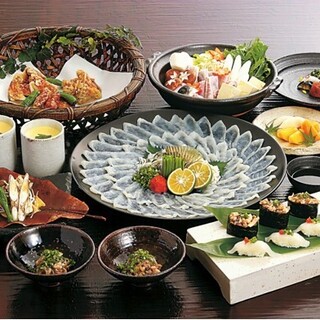 Winter taste: Fugu cuisine. Please enjoy it with sashimi, hot pot, Shirako-yaki, etc.