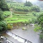 オーベルジュ土佐山 - 吊り橋からの眺め