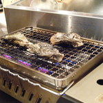 かき小屋袋町 海平商店 - 焼きガキは自分で焼く！