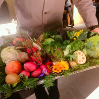 レフェルヴェソンス - 45種類のお野菜