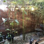 スコーレ - 店内