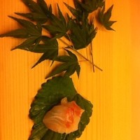 鮨 生粋 - 
