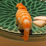 鮨 光史郎 - 車海老