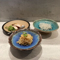 CINA New Modern Chinese - 