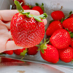 姫路ハートフル観光農園 - 