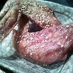 二度と来るよ - 手羽先のタレ