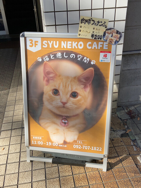 シュネコカフェ Syu Neko Cafe 赤坂 その他 食べログ シュネコカフェ Syu Neko Cafe 赤坂 その他 食べログ