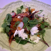 RIGOLETTO KITCHEN - 