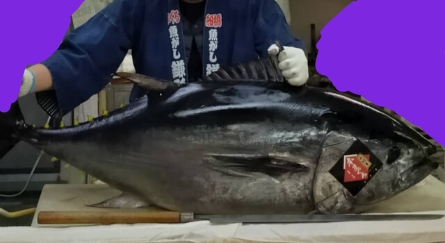 Megaドン キホーテ 本八幡店 本八幡 その他 食べログ