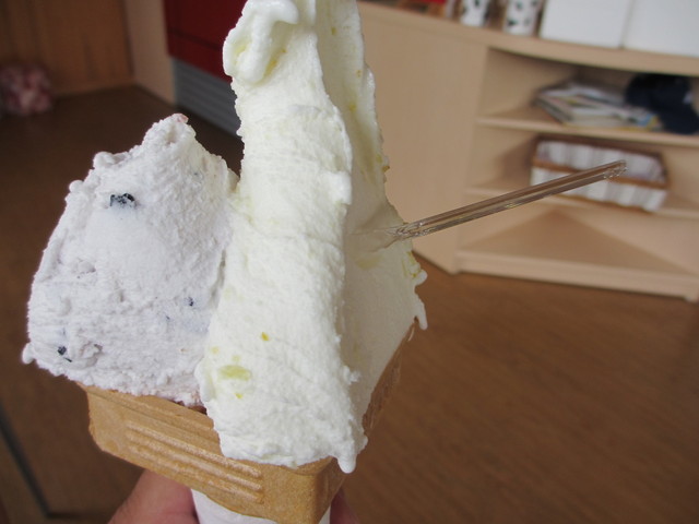 手作りジェラートの店 ポコアポコ 箸蔵 アイスクリーム 食べログ