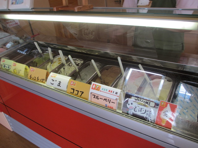 手作りジェラートの店 ポコアポコ 箸蔵 アイスクリーム 食べログ