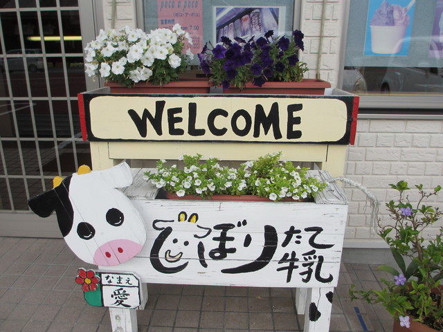 手作りジェラートの店 ポコアポコ 箸蔵 アイスクリーム 食べログ
