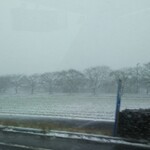 玄海鮨 - １月７日午後  福岡県  朝倉郡 筑前町  