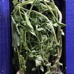 KINOKUNIYA - 七草はたくさん入っている。芹と蘩蔞(ハコベラ)の根っ子の香りが春を感じさせる。 