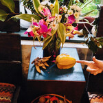 カフェぽぷり - 