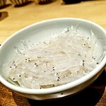 温石 - ピカピカの白魚。真ん中から左側の子と目が合う。