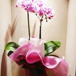 銀座 しのはら - 祝ミシュラン2つ星