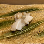寿司割烹 魚紋 - 蝦夷 つぶ貝