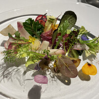 レフェルヴェソンス - 