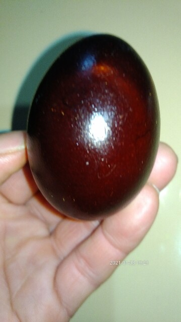 タムラ電子スモークハウス - 小野新町（その他）の写真