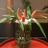 京懐石 吉泉 - 