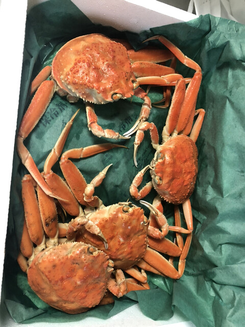 菊よし 野町 割烹 小料理 食べログ