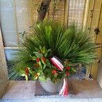 シェ松尾・松濤レストラン - 新春松飾り