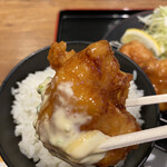 Tori San Wa Iom Moru Hiroshima Fuchuu - 甘酢餡もタルタルも美味しかった