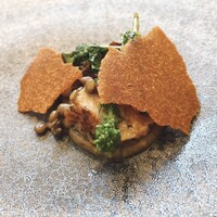 クイントカント - 