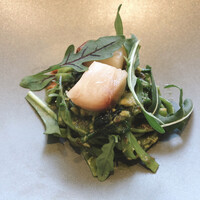 クイントカント - 