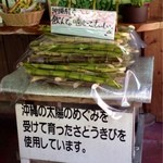 おきなわワールド おみやげ専門店街 - 