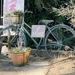 カラミンサ - 看板