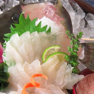 【産直素材】×【活魚】日本各地の食材☆鮮度に自信あり！