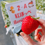 姫路ハートフル観光農園 - 