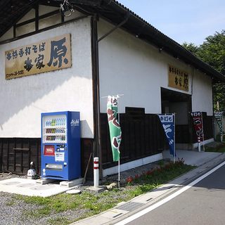 本格手打そば　本家　原