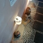 本格手打うどん 麺むすび - 