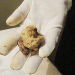 イル プレージョ - アルバ産白トリュフ