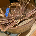 かにじぇんぬ 北新地 - 