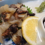 居酒屋まさる - ツブ貝刺身