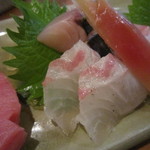 酒肴遊善 じねん - 真鯛　舞阪　1.4Kg/さわら　御前崎　2.0Kg　炙り