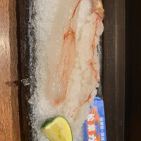 日本料理 丸しま - 