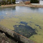 はまんど - 凍ってますよ(;´Д｀)　この日は寒かった。