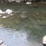 きじや - 座席からの景色、真下にはイワナも見ることができる