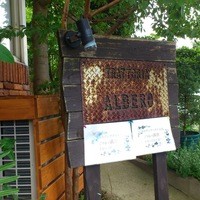 トラットリア・アルベロ - ランチでも2週間前に予約しないとお店に入れない！！