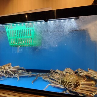 鳥取美食こころび_1